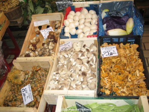 Mushrooms in a typical French Market