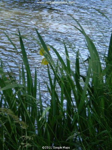 Canal du Midi