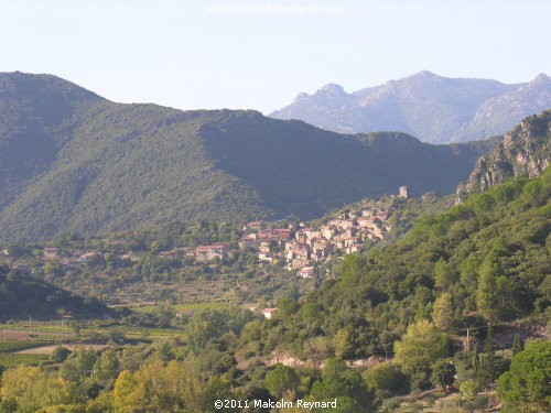 Haut Languedoc Regional Park