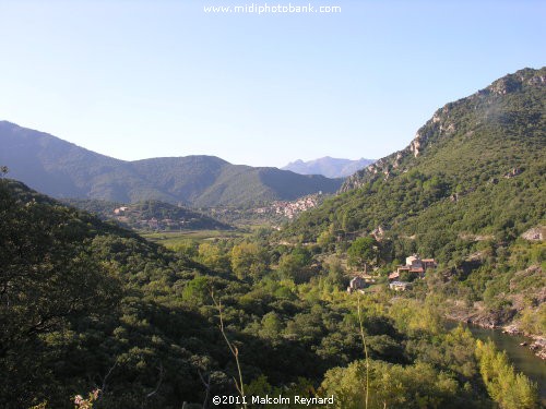 Haut Languedoc Regional Park