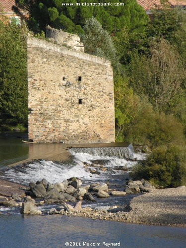 Haut Languedoc Regional Park