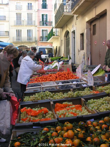 The Season for Oranges in the South of France