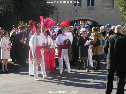 The Carnival of the Animals