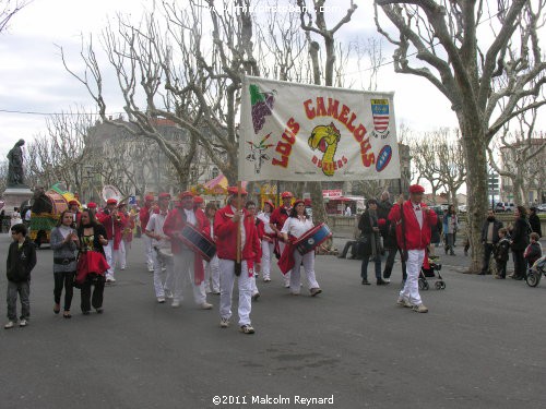 The Carnival of the Animals