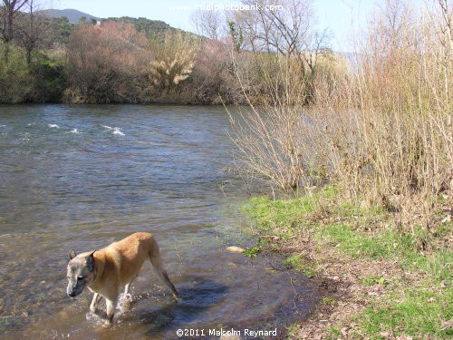 Languedoc Regional Park