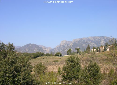 Languedoc Regional Park