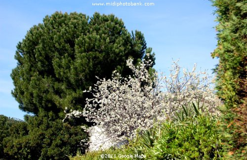 Spring in the Hérault