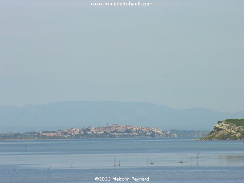 Etang de Bages - Aude