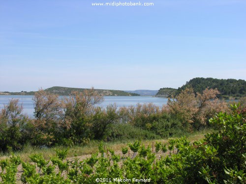 Etang de Bages - Aude