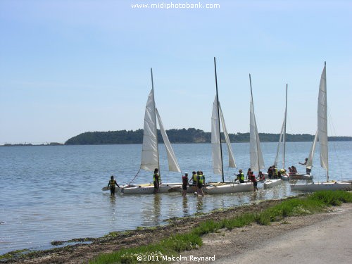 Etang de Bages - Aude