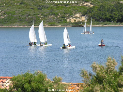 Etang de Bages - Aude