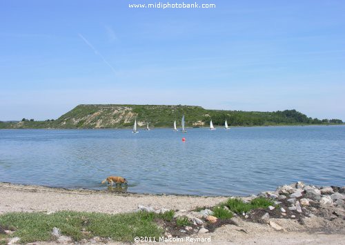 Etang de Bages - Aude