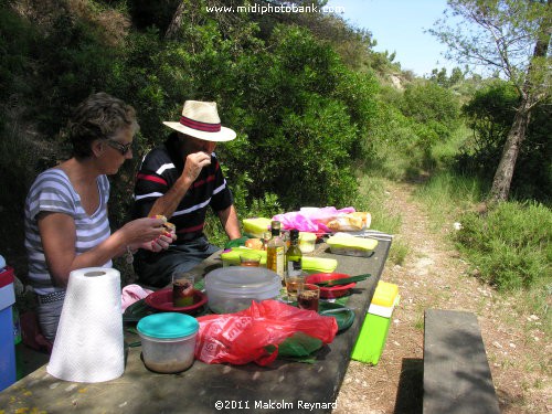 Etang de Bages - Aude