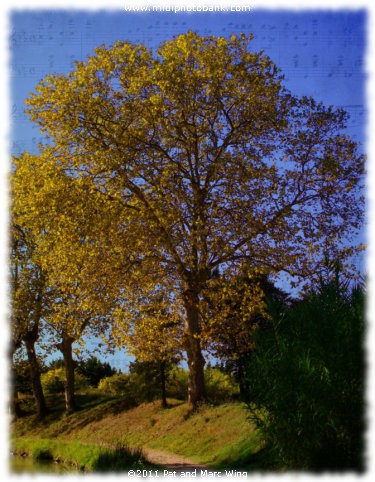 Canal du Midi