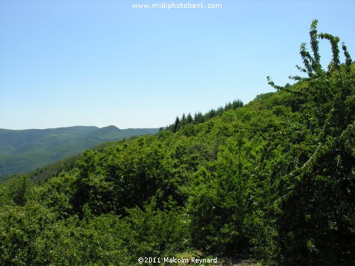 The tiny Village of "Combes", in the mountains of the "Haut Languedoc Regional Park"