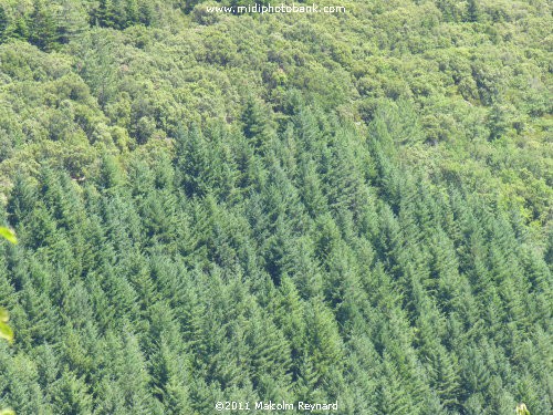 The tiny Village of "Combes", in the mountains of the "Haut Languedoc Regional Park"