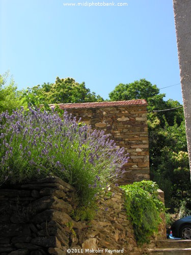 The tiny Village of "Combes", in the mountains of the "Haut Languedoc Regional Park"