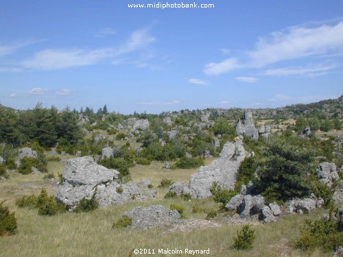 Les Chemins de Saint-Jacques de Compostelle - Larzac