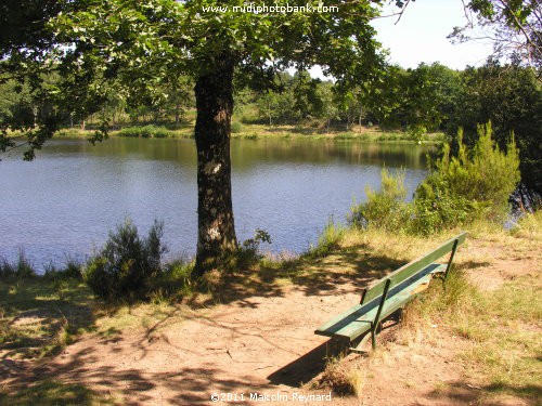 Montagne Noir - Lac de St Denis