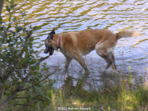Montagne Noir - Lac de St Denis