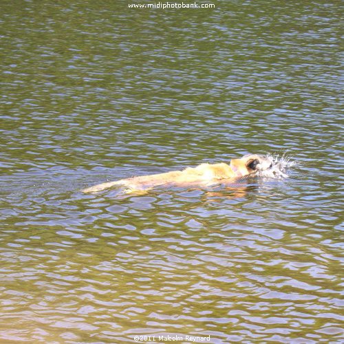 Montagne Noir - Lac de St Denis