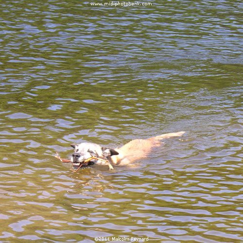 Montagne Noir - Lac de St Denis
