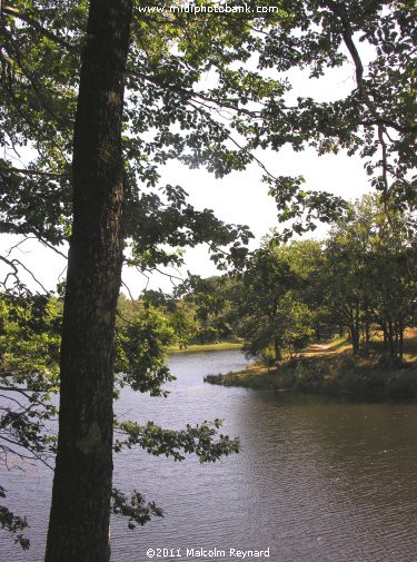 Montagne Noir - Lac de St Denis