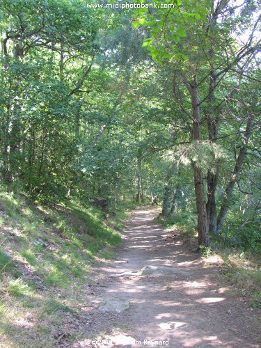 Montagne Noir - Lac de St Denis