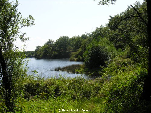 Montagne Noir - Lac de St Denis