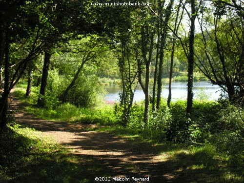 Montagne Noir - Lac de St Denis