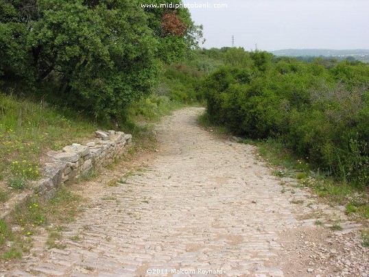 Via Domitia & The Oppidum d'Ambrussum