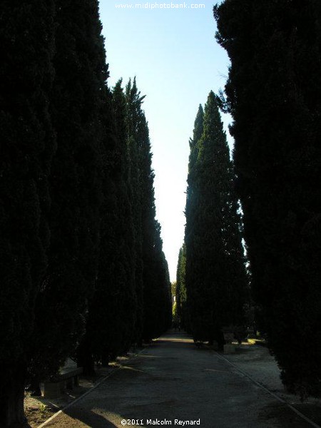Montpellier - "Jardin des Plantes"