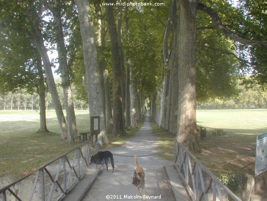 Canal du Midi - "La Rigole de la Plaine"