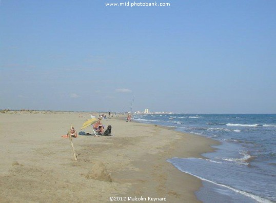 Summertime Beach !