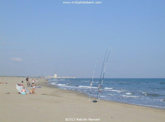 Summertime Beach !