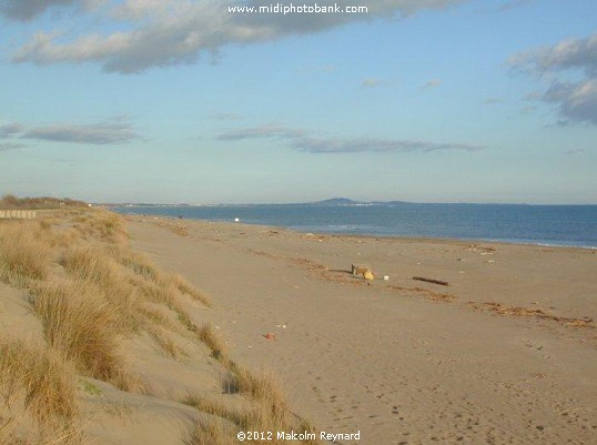 Sérignan Plage - midwinter