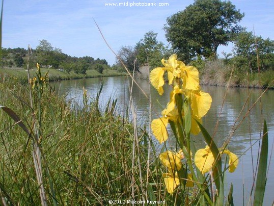 Canal du Midi - Midi Canal