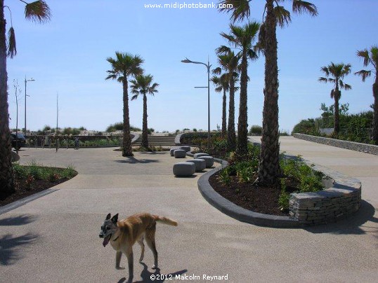 Marseillan Plage 