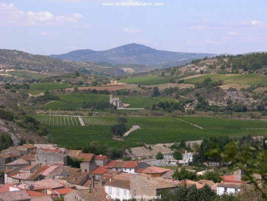 Mont Saint-Victor - Corbières - Aude