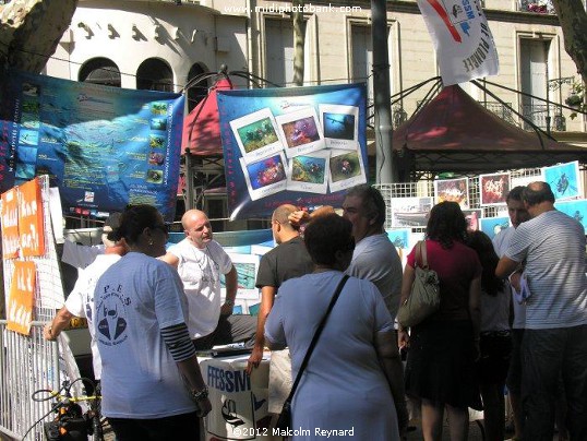 Allées des Associations - Béziers