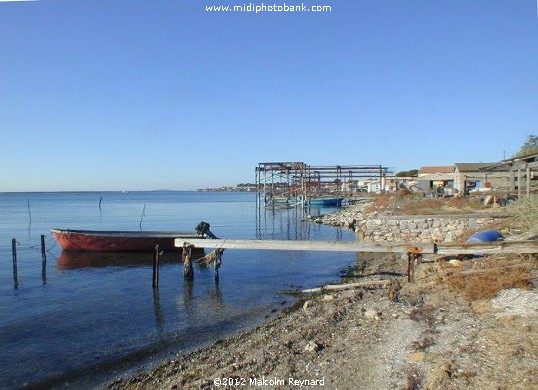  Etang de Thau - Bouzigues