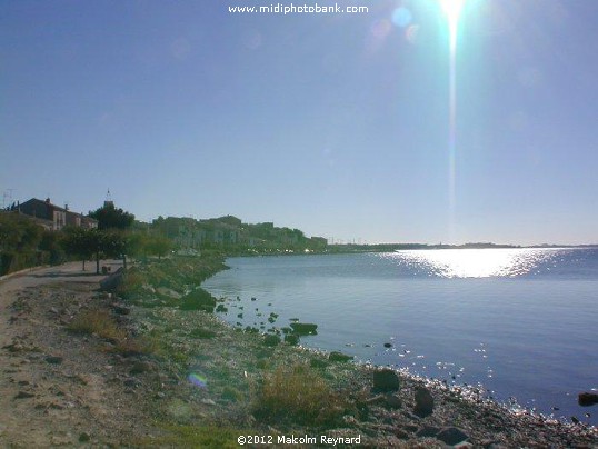  Etang de Thau - Bouzigues