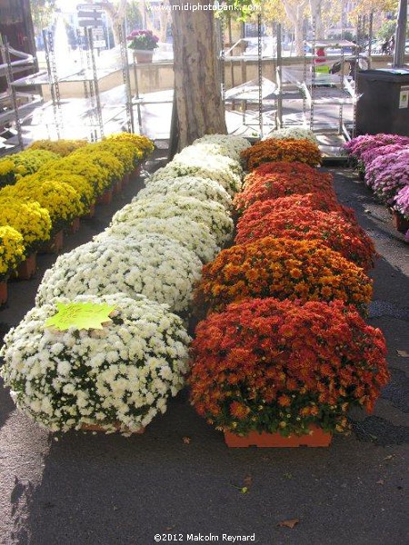 Béziers - La Toussaint - All Saints Day