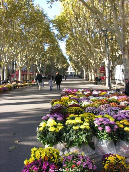 Béziers - La Toussaint - All Saints Day