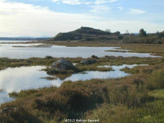 The étang de Bages