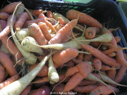 Saturday Farmers Market in Béziers