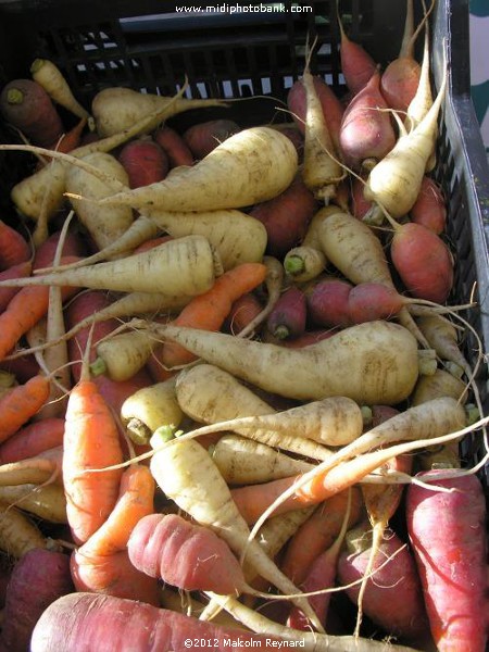 Saturday Farmers Market in Béziers