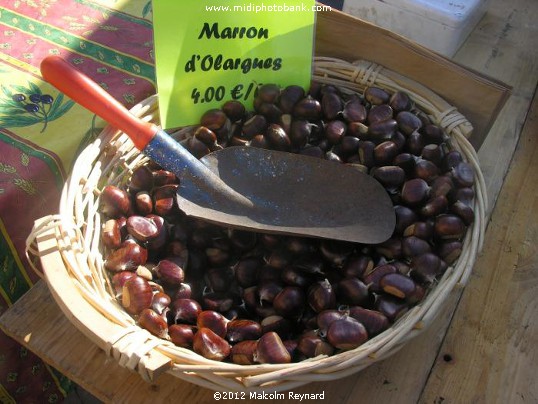 Saturday Farmers Market in Béziers