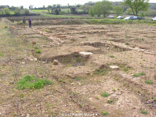 The oldest “Wine Domaine” in France