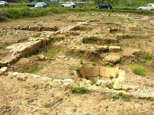 The oldest “Wine Domaine” in France